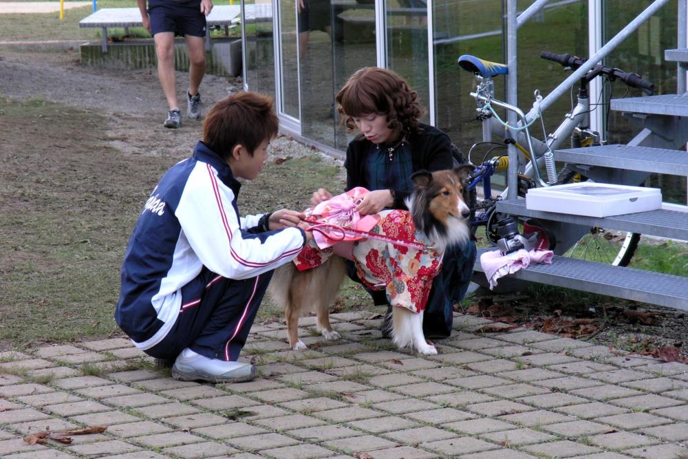 In Basel Wm 2006 der Agility Hundesportfreunde