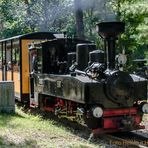 IN BERLINS WÄLDERN EINFACH MAL DAMPF ABLASSEN