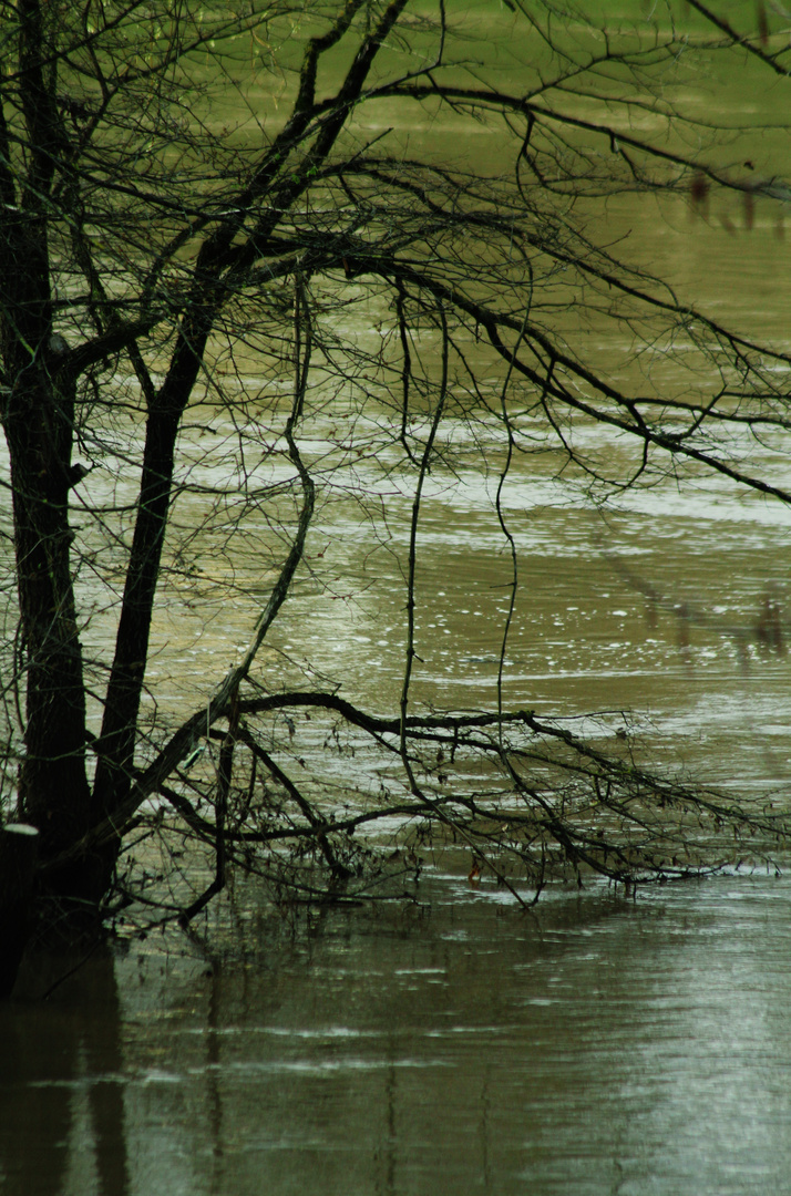 in Berührung mit dem Wasser