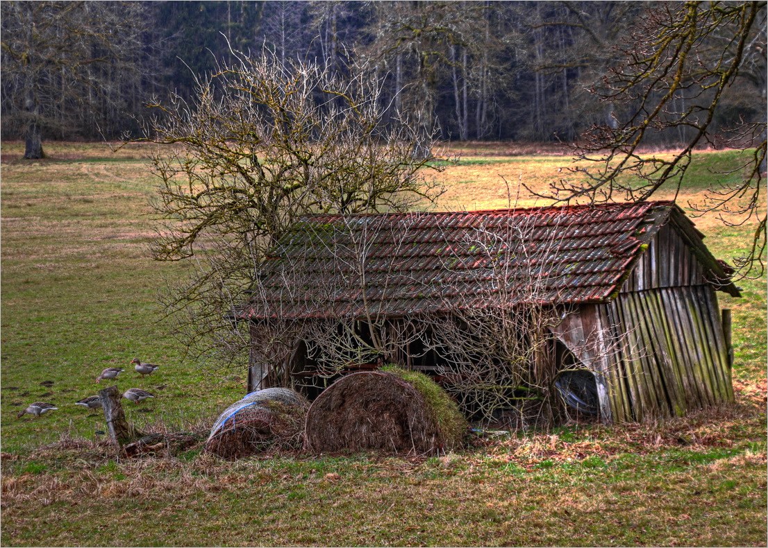 in bester Waldrand-Lage