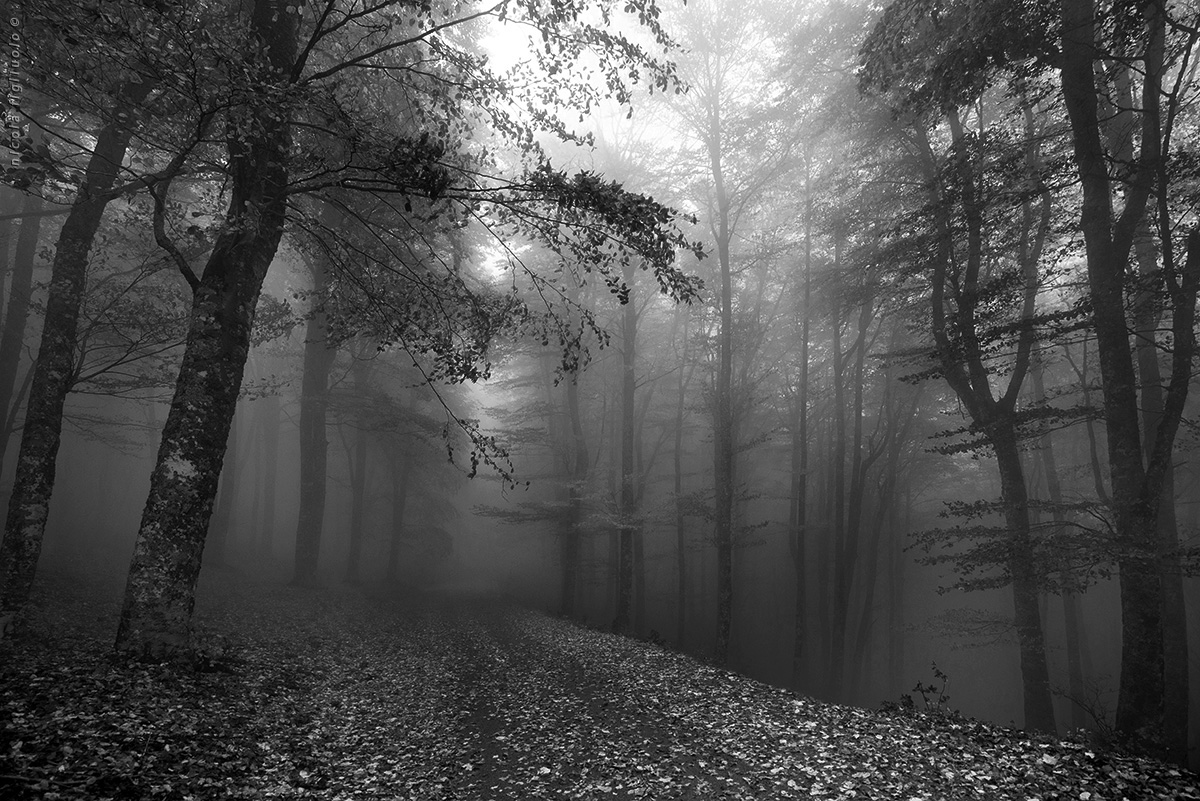 In Bianco E Nero Foto Immagini Tecniche Speciali Bianco E Nero Temi Foto Su Fotocommunity