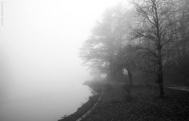 ... in bianco e nero *V/