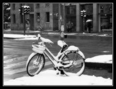 in bici a milano