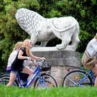 In bici tra i leoni