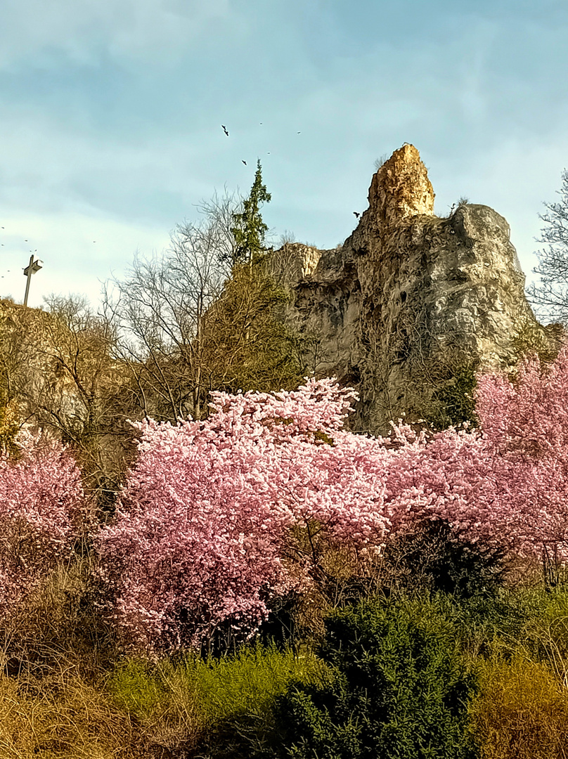 in Blaubeuren