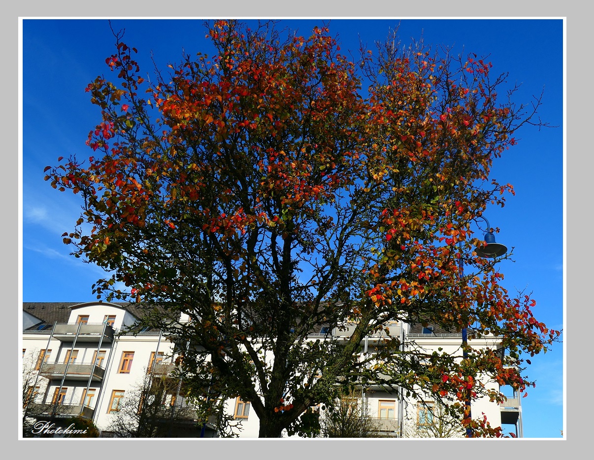 In blauem Himmel