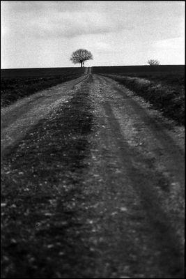 - in blickrichtung -