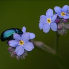 In blu per l'occorrenza.....