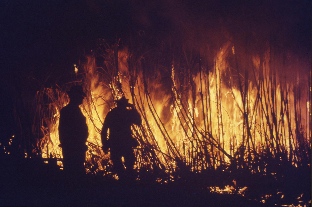 In Brand gesteckt ...