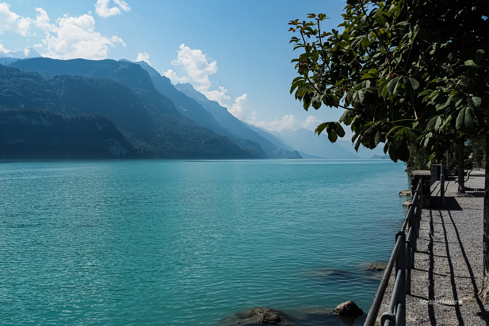 @in Brienz