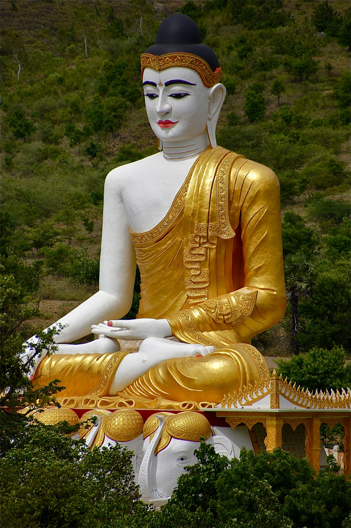 in buddha's garten II