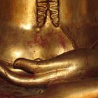 In Buddhas Hand