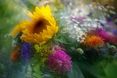 In bunten Farben .....