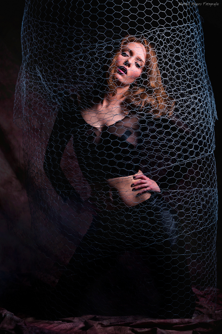 In Cage