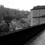 In cammino ad Urbino