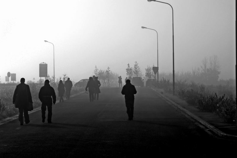 in cammino nella nebbia