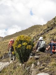 In cammino verso il passo Yanapunta, 4630 metri