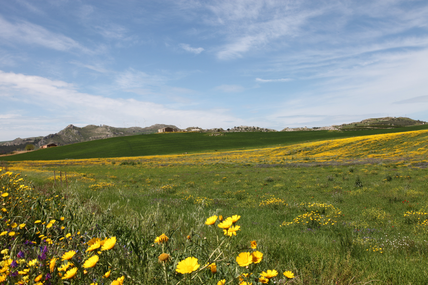 In campagna