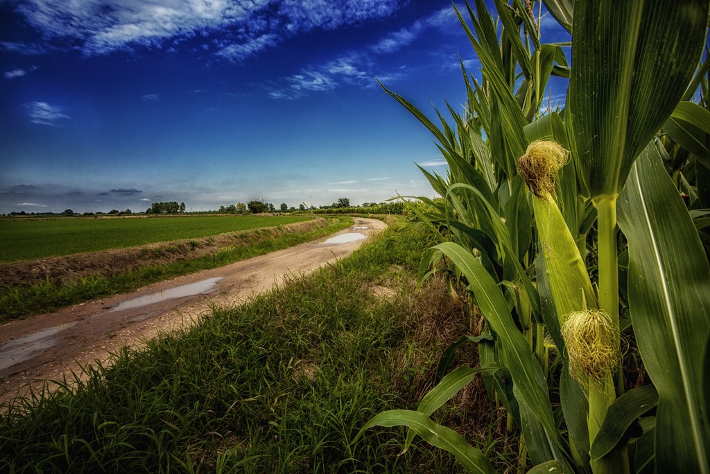 In campagna