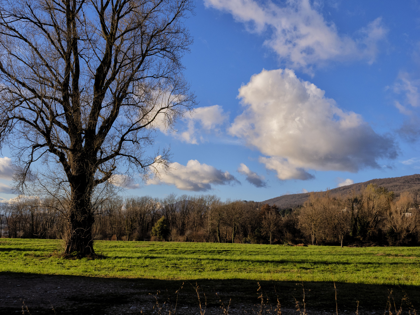 In campagna