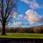 In campagna