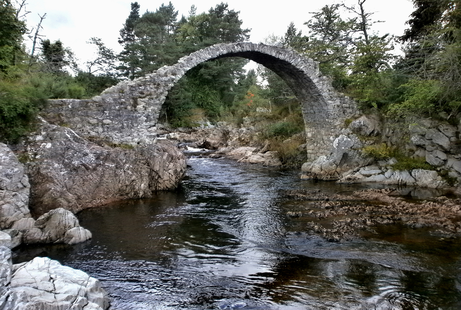 In Carrbridge