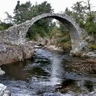 In Carrbridge