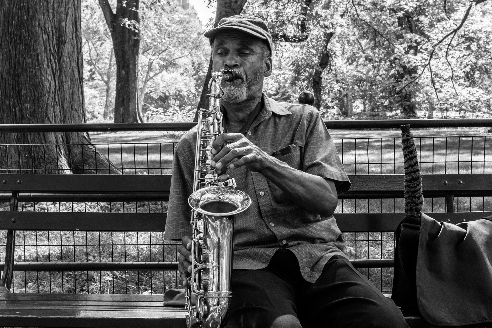 In Central Park