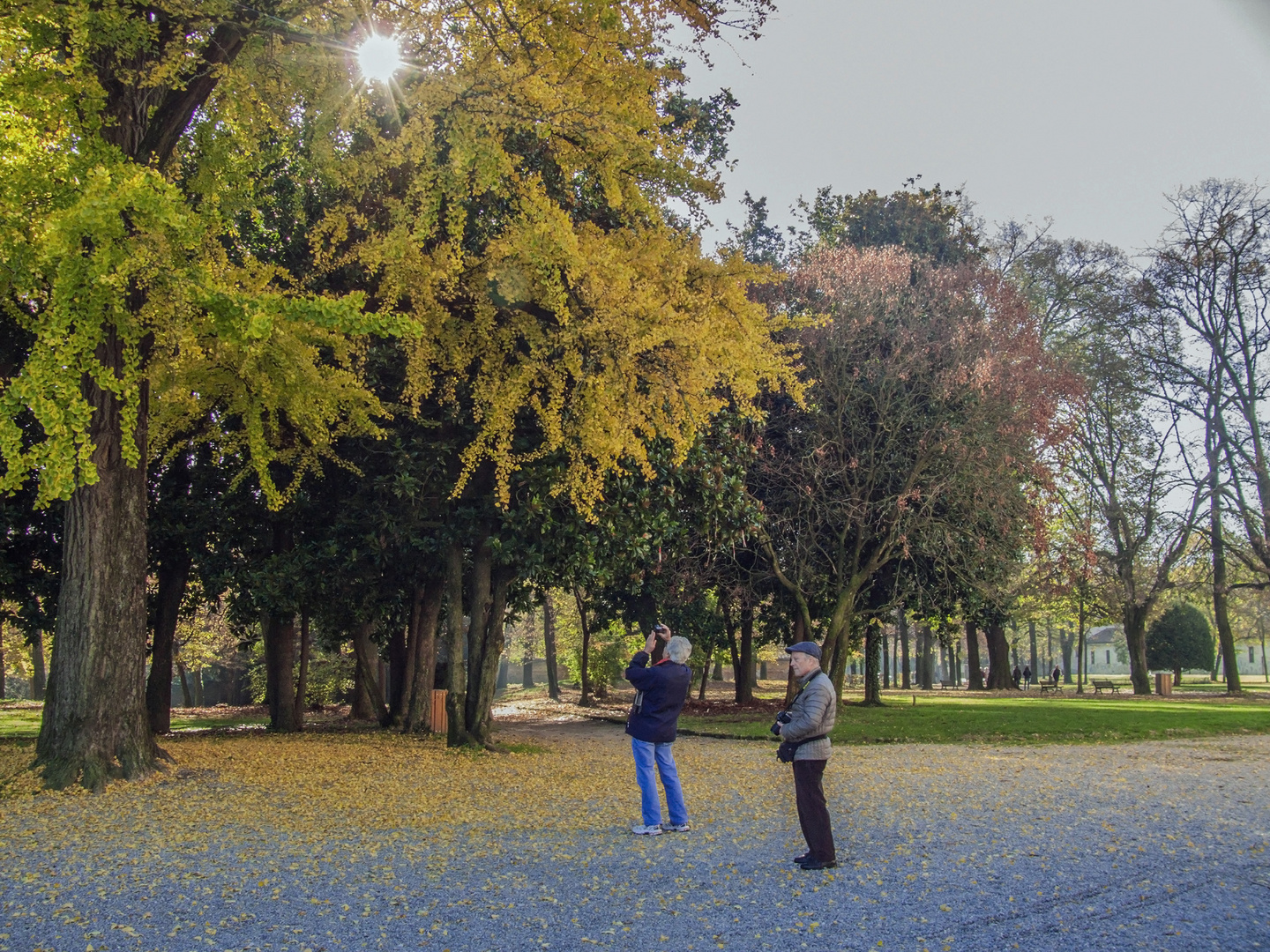 In cerca dell'Autunno