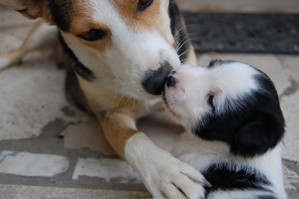 in cerca di un altro bacio coccolami...