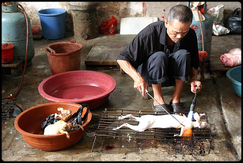 In China a butcher er braucht auch ein solid training in welding !