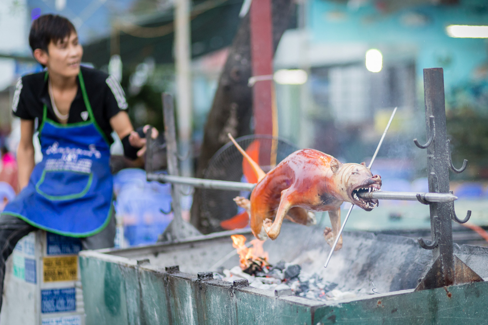 In China They Eat Dogs - In Vietnam Too ...