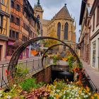 In Colmar