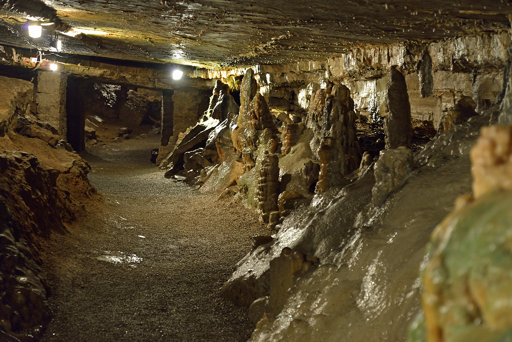 In d. Hasler = Erdmannshöhle im Lk Lörrach 4