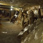 In d. Hasler = Erdmannshöhle im Lk Lörrach 4