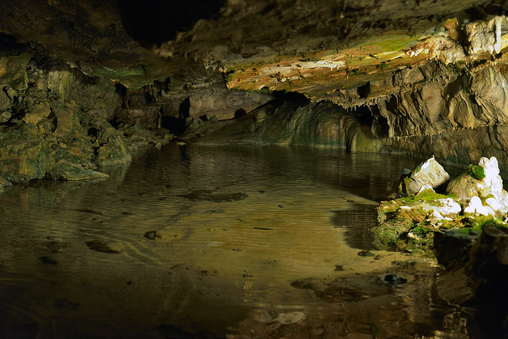 In d. Hasler = Erdmanshöhle im Lk Lörrach 1