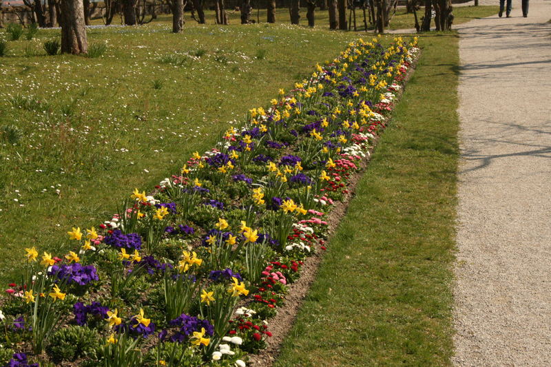 In Dachau