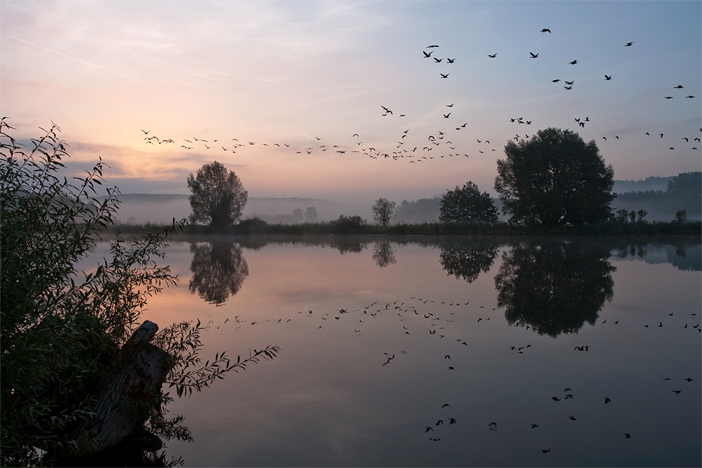 in das Morgenlicht