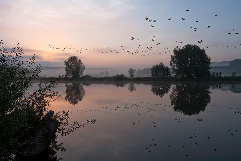 in das Morgenlicht