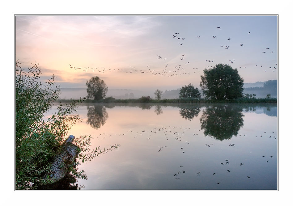 in das morgenlicht II