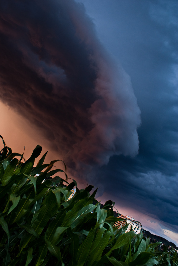 In Deckung gegangen vor dem Gewitter