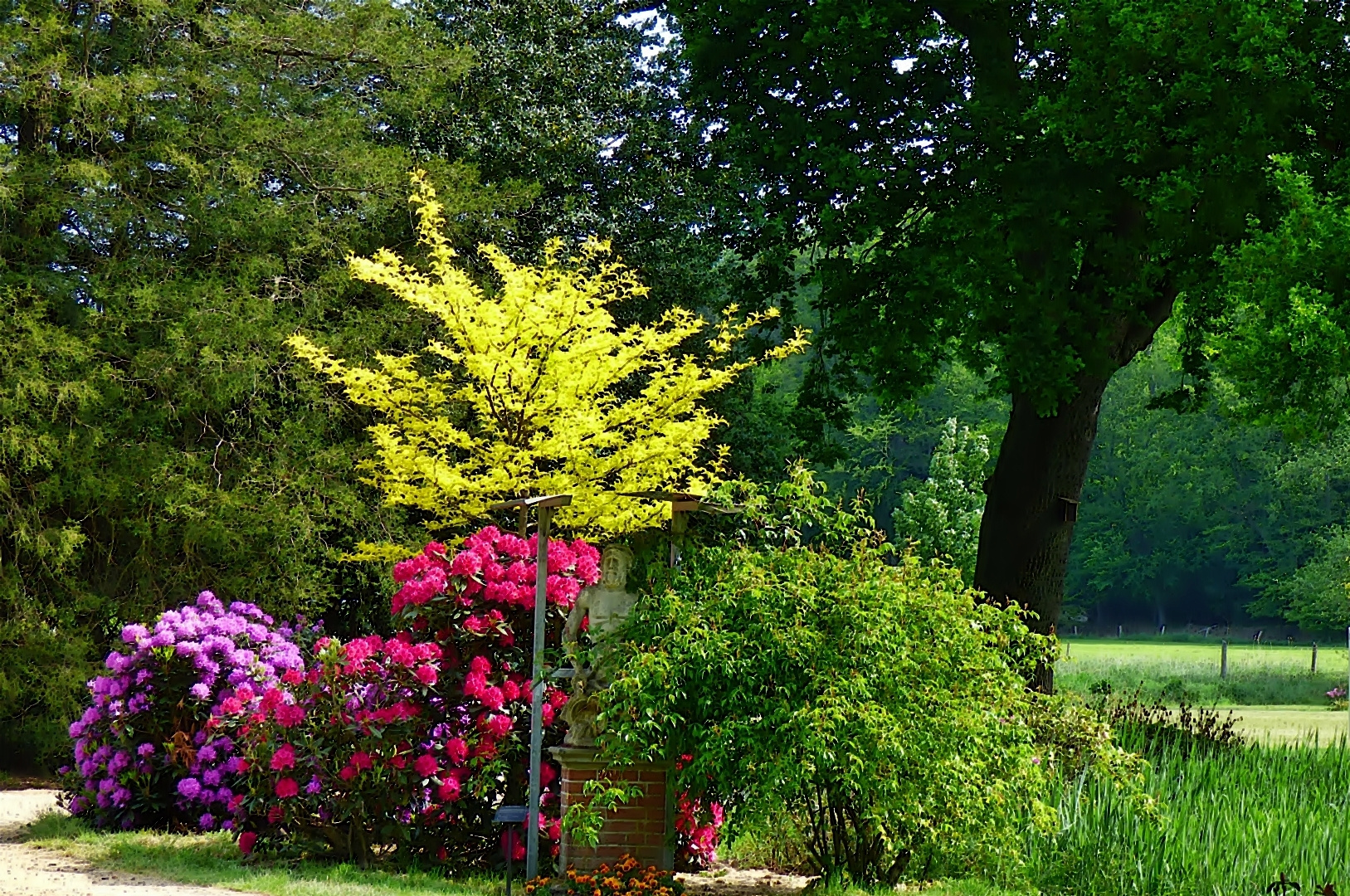 In dem großen Park . . .