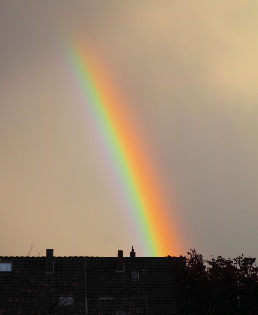 In dem Haus gibt es Gold ... da ist der Regenbogen zu Ende 