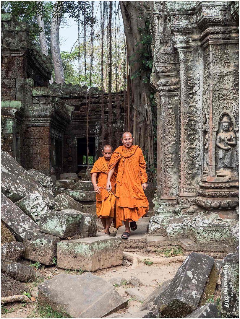 in dem tempel von angkor ta prohm......