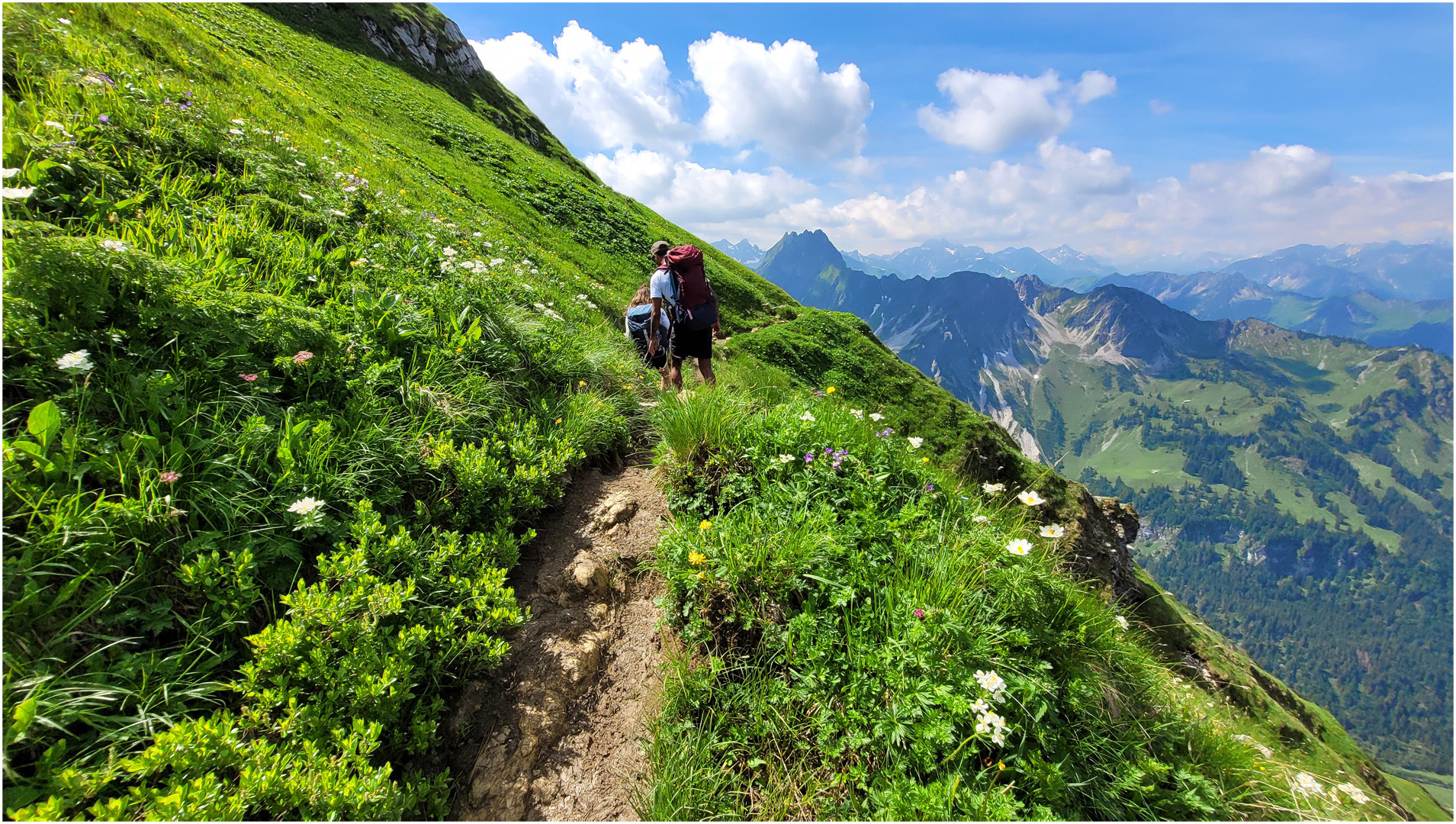 In den Allgäuer Alpen (1)