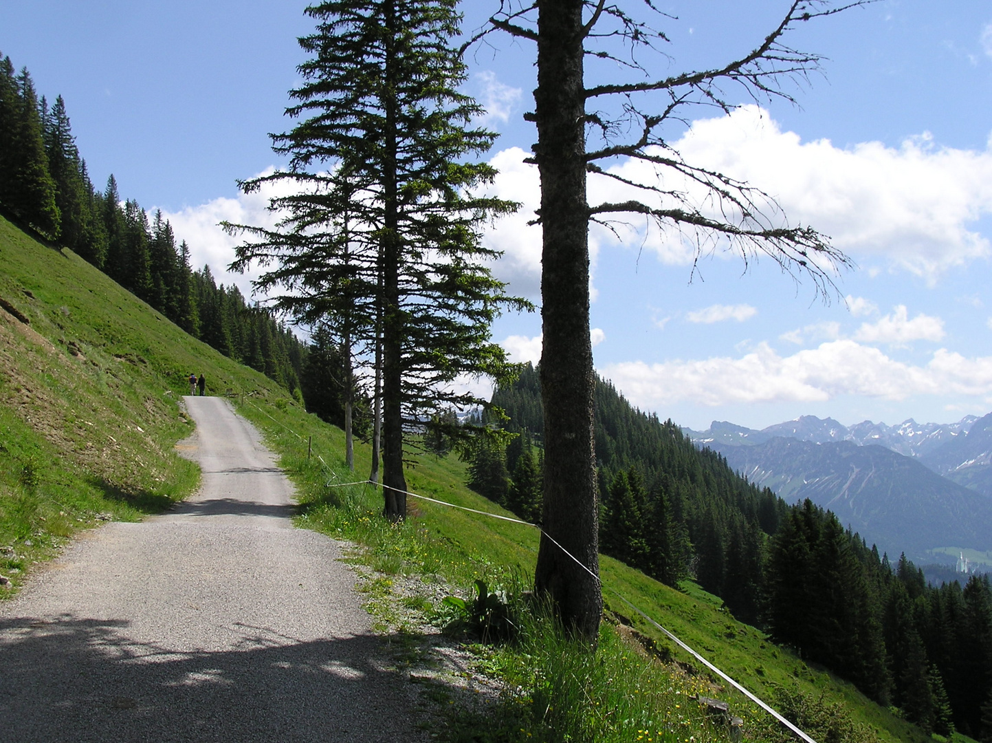 In den Allgäuer Alpen, auf den "Hörnern"