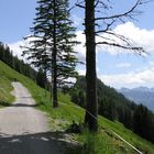 In den Allgäuer Alpen, auf den "Hörnern"