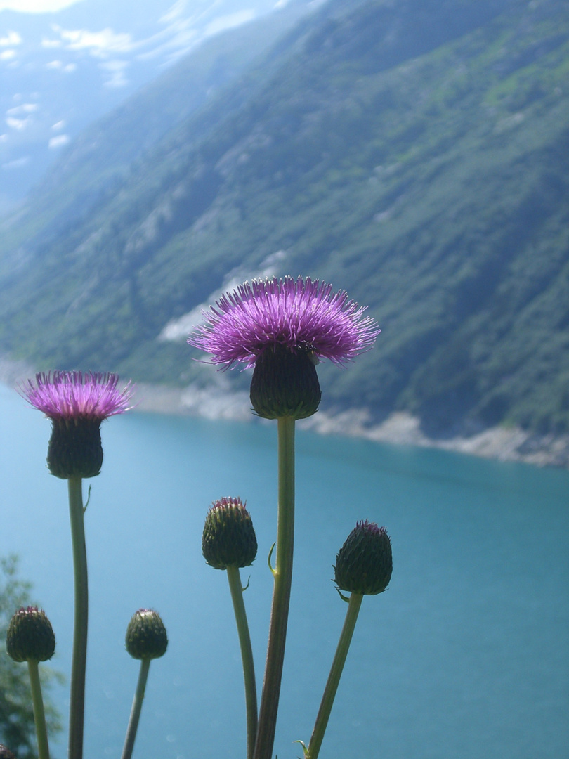 In den Alpen ... :-)