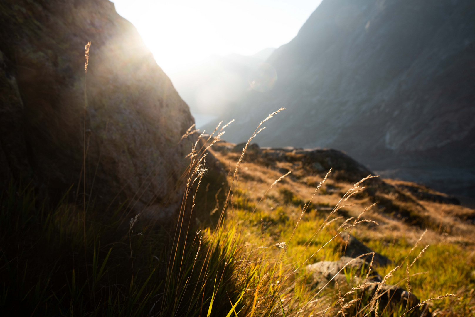 In den Alpen 