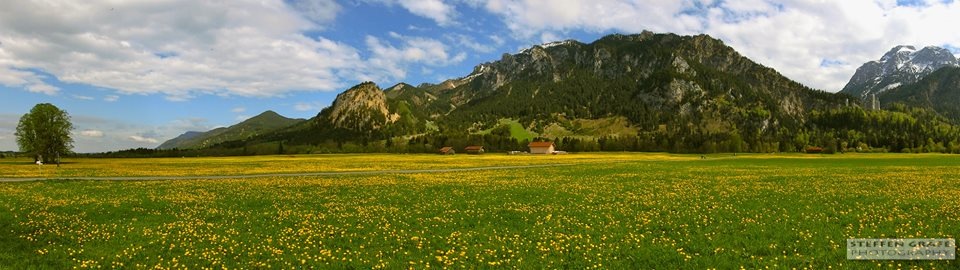 ,,In den Alpen "